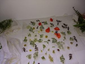 Blüten werden zu Bonbons