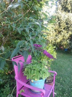 Altes bemalen für den Garten